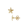Starfish Stud Earrings in Yellow Gold Filled